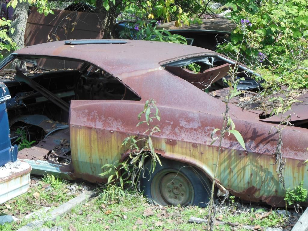 Stark wrecking yard, Dayton OH
